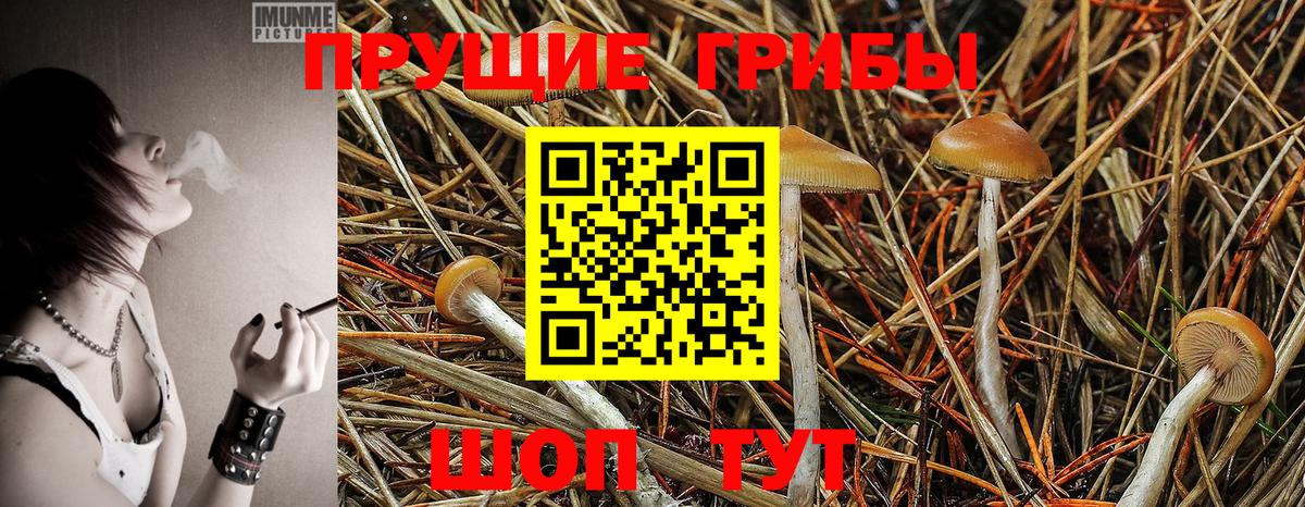 Псилоцибиновые грибы Magic Shrooms Тула